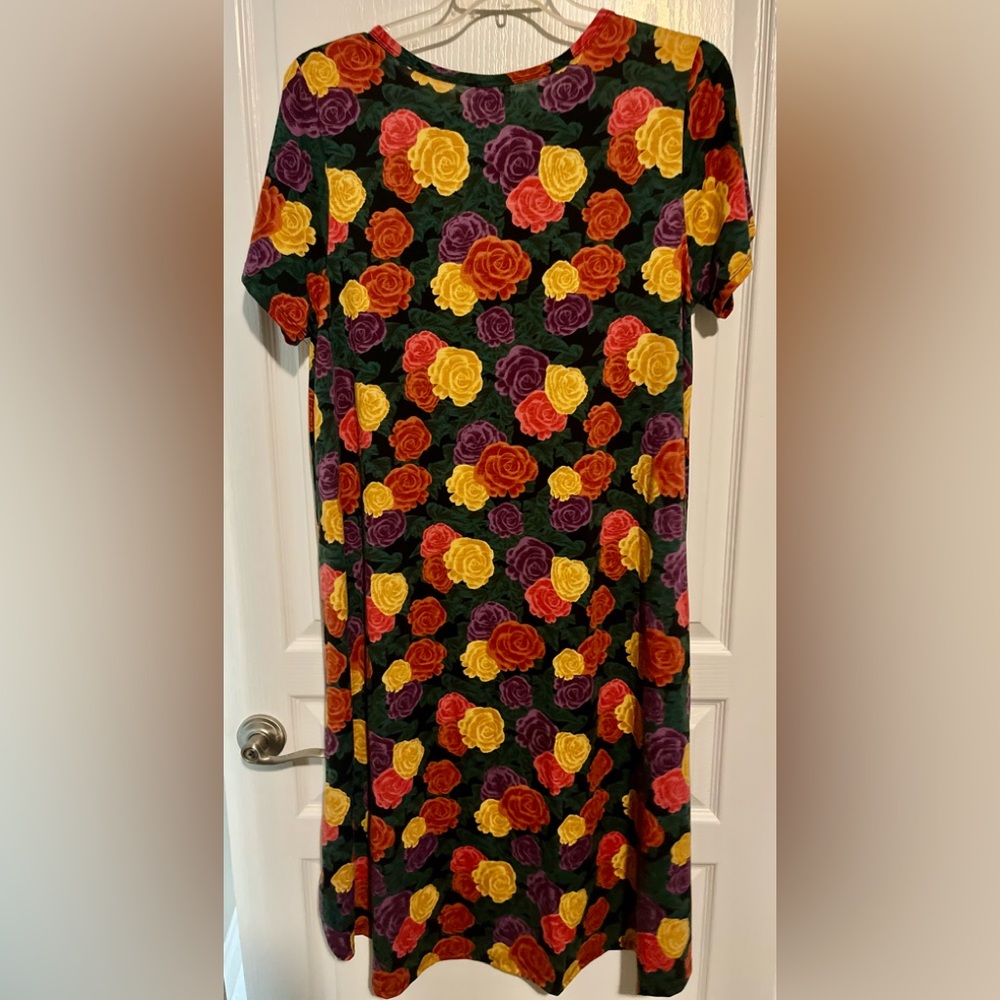 2 FOR $20! LuLaRoe NEW 3x Dress